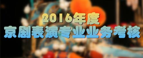 叉逼性巴克国家京剧院2016年度京剧表演专业业务考...